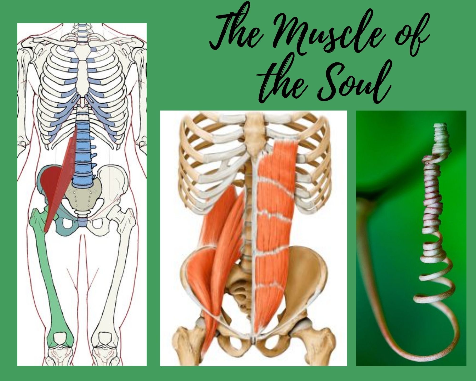 The Muscle of the Soul